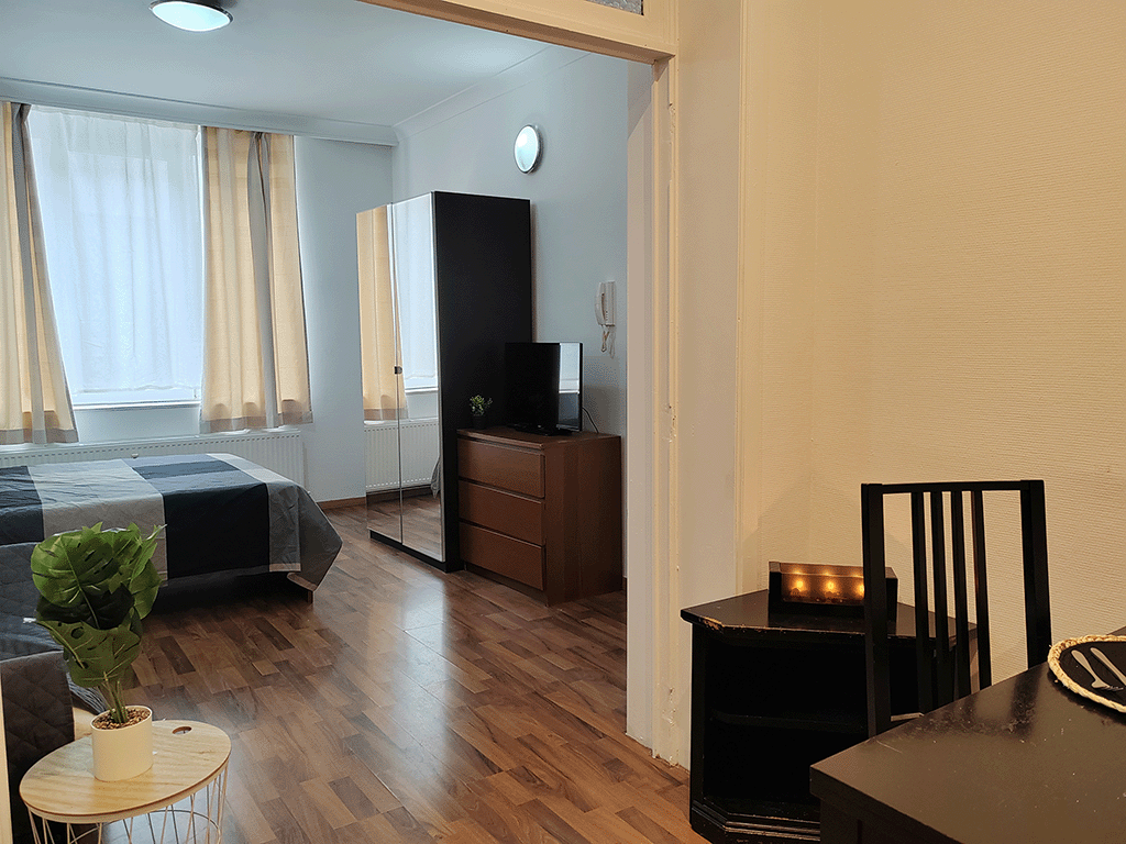 APARTMENT FOR RENT IN BRUSSELS 2513 AVAILABLE APARTMENTS visual data 7